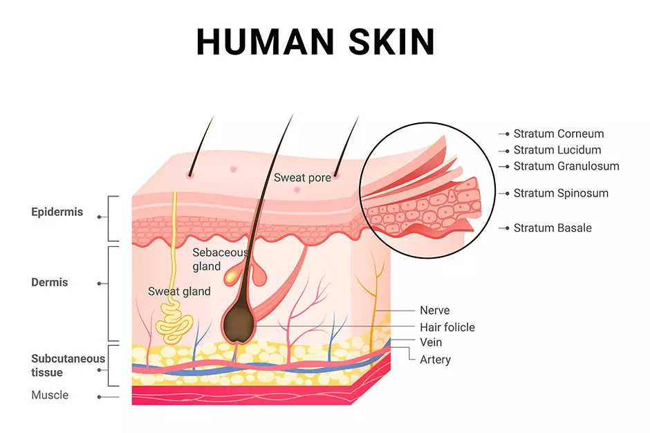 alma ted non surgical treatment 7 alma ted non surgical treatment 7